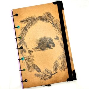 CUADERNO PUERCOESPÍN