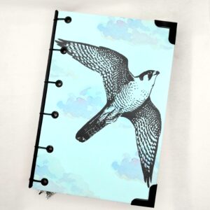 CUADERNO HALCÓN